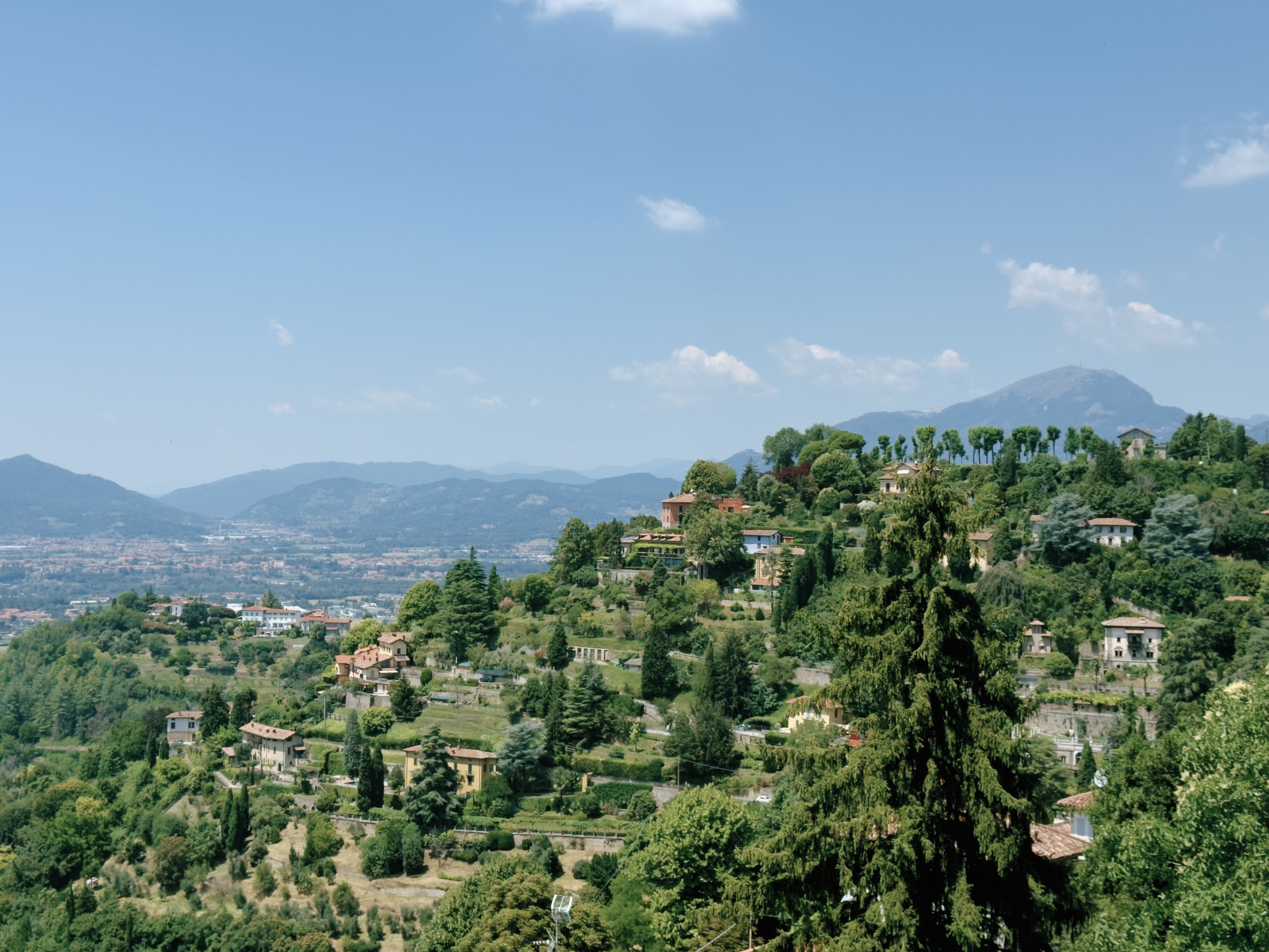 Hillside villas and gardens scattered among dense trees on the slopes of Bergamo's Città Alta, with mountains visible in the distance.