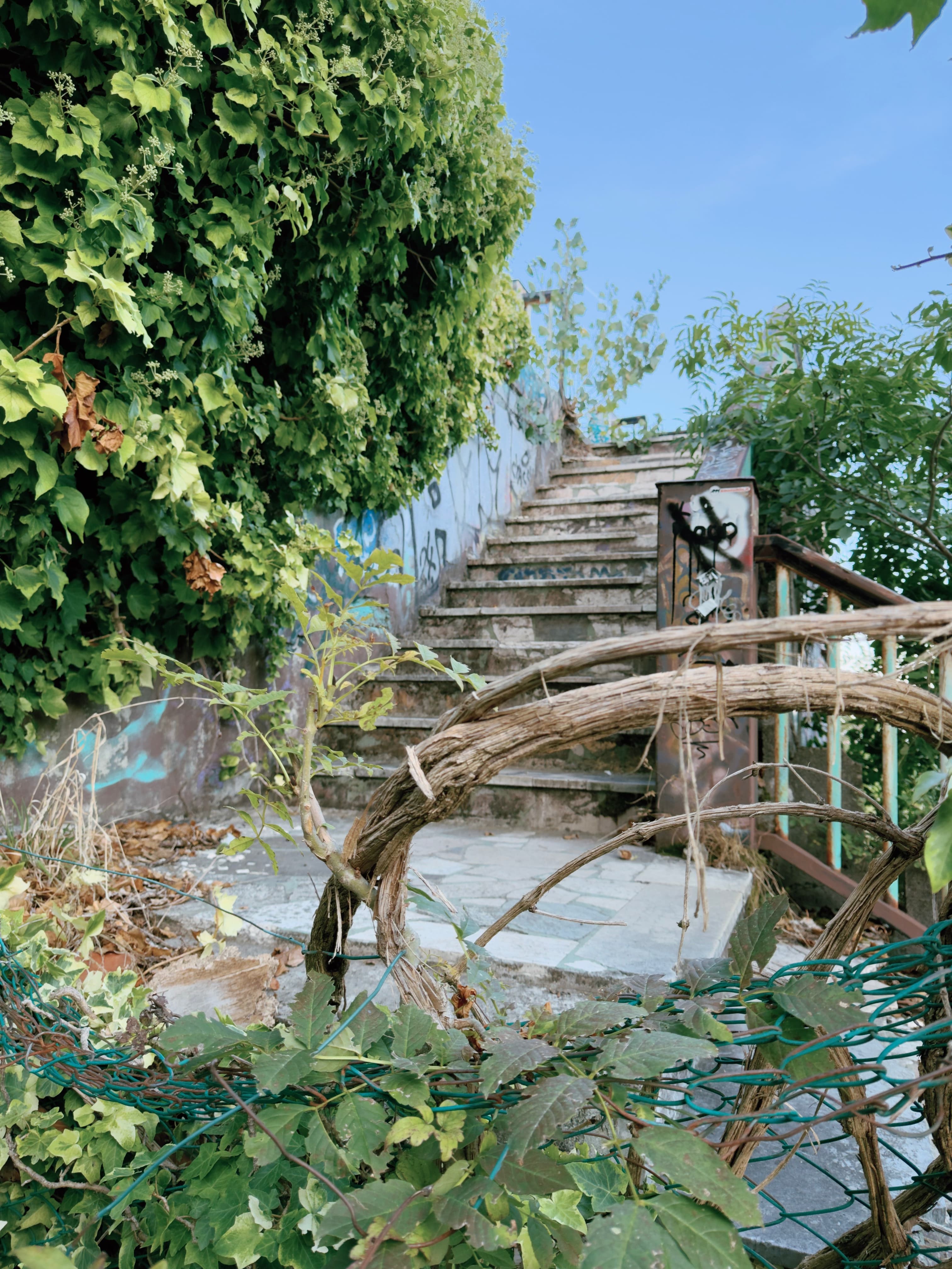 An abandoned staircase at Consonno covered in graffiti, overgrown with vines and vegetation, with dry branches tangled across the path.