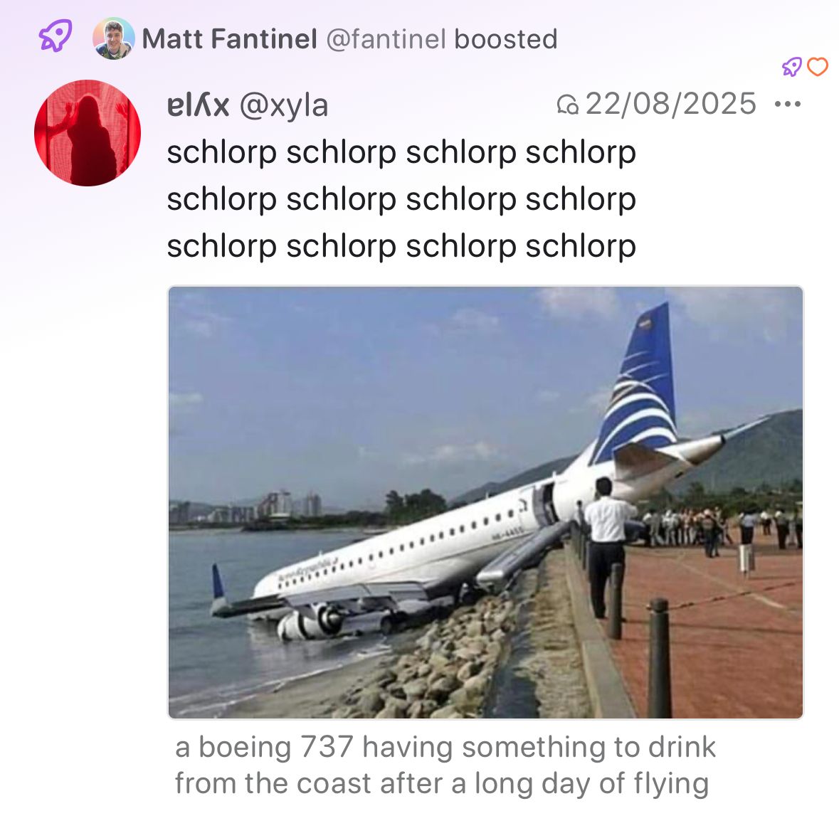 Screenshot of Phanpy, showing a post with an image, and the image has its alt text displayed right below it, almost as if it were a caption.