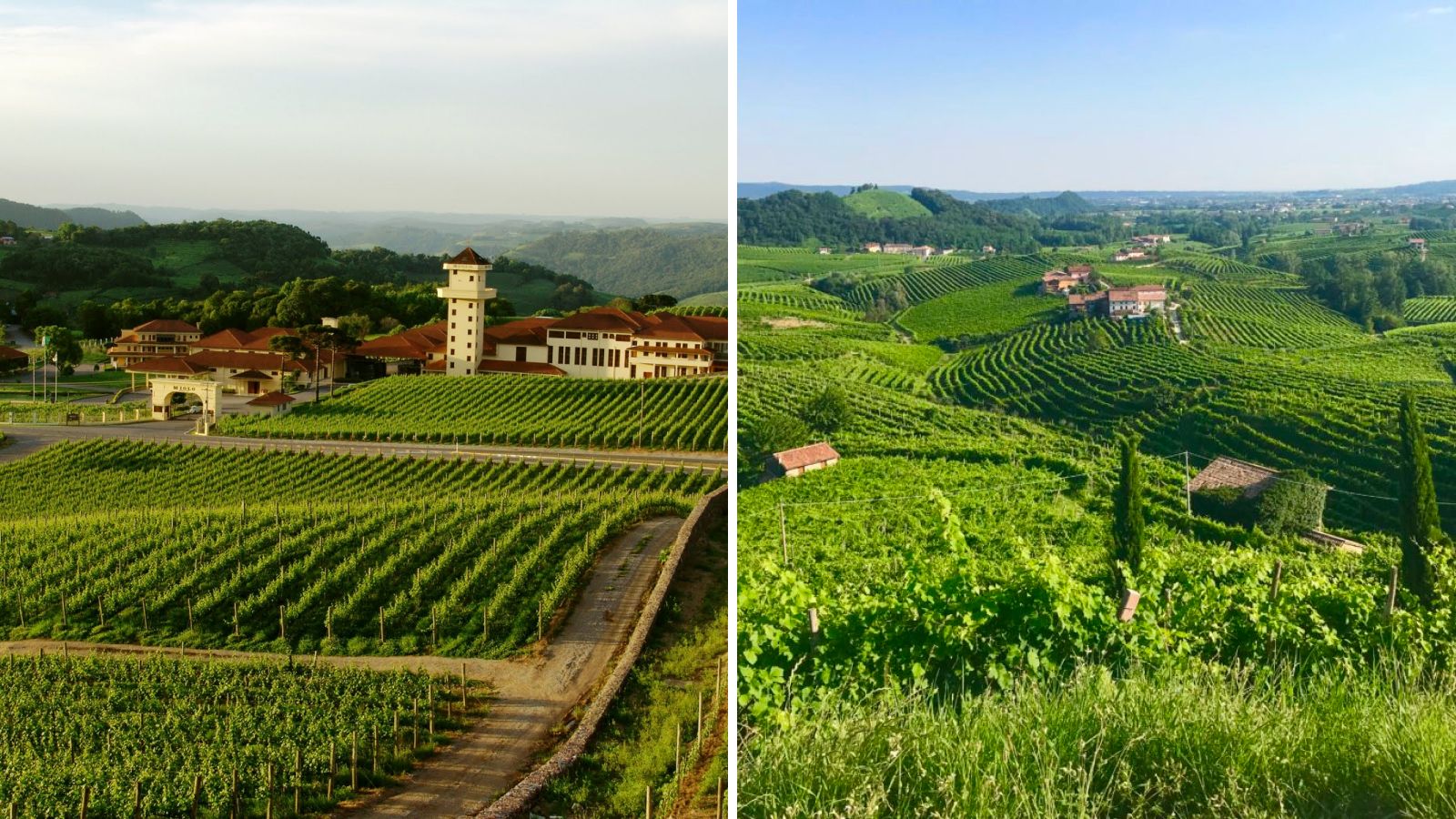 Two pics side by side: both also show green hills with vineyards, but with similar stone buildings (houses, churches)
