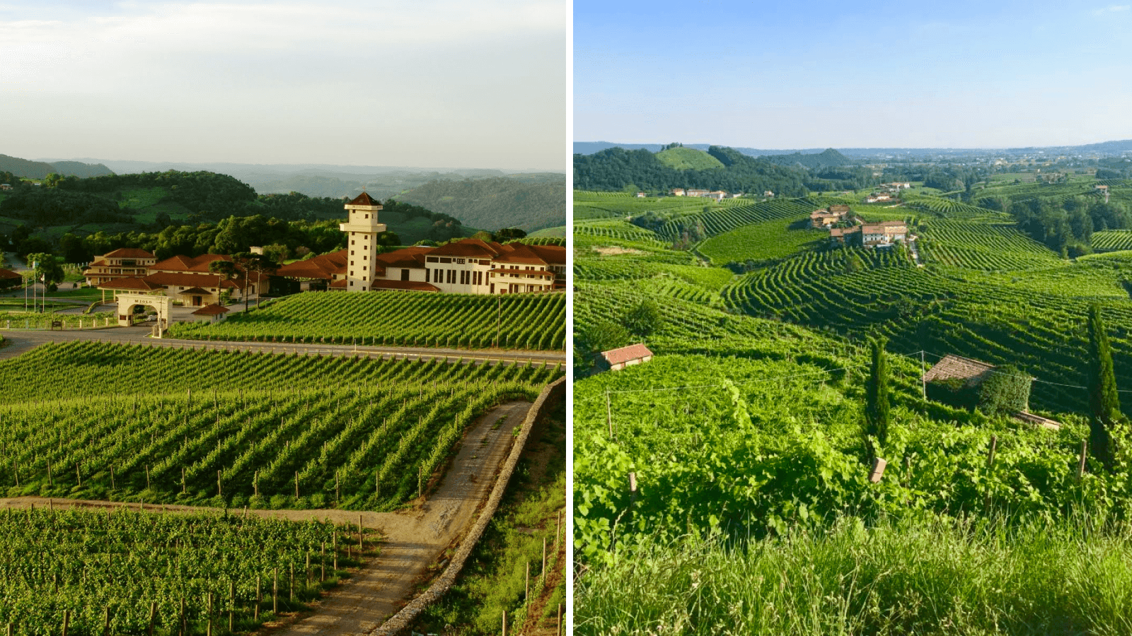 Two pics side by side: both also show green hills with vineyards, but with similar stone buildings (houses, churches)