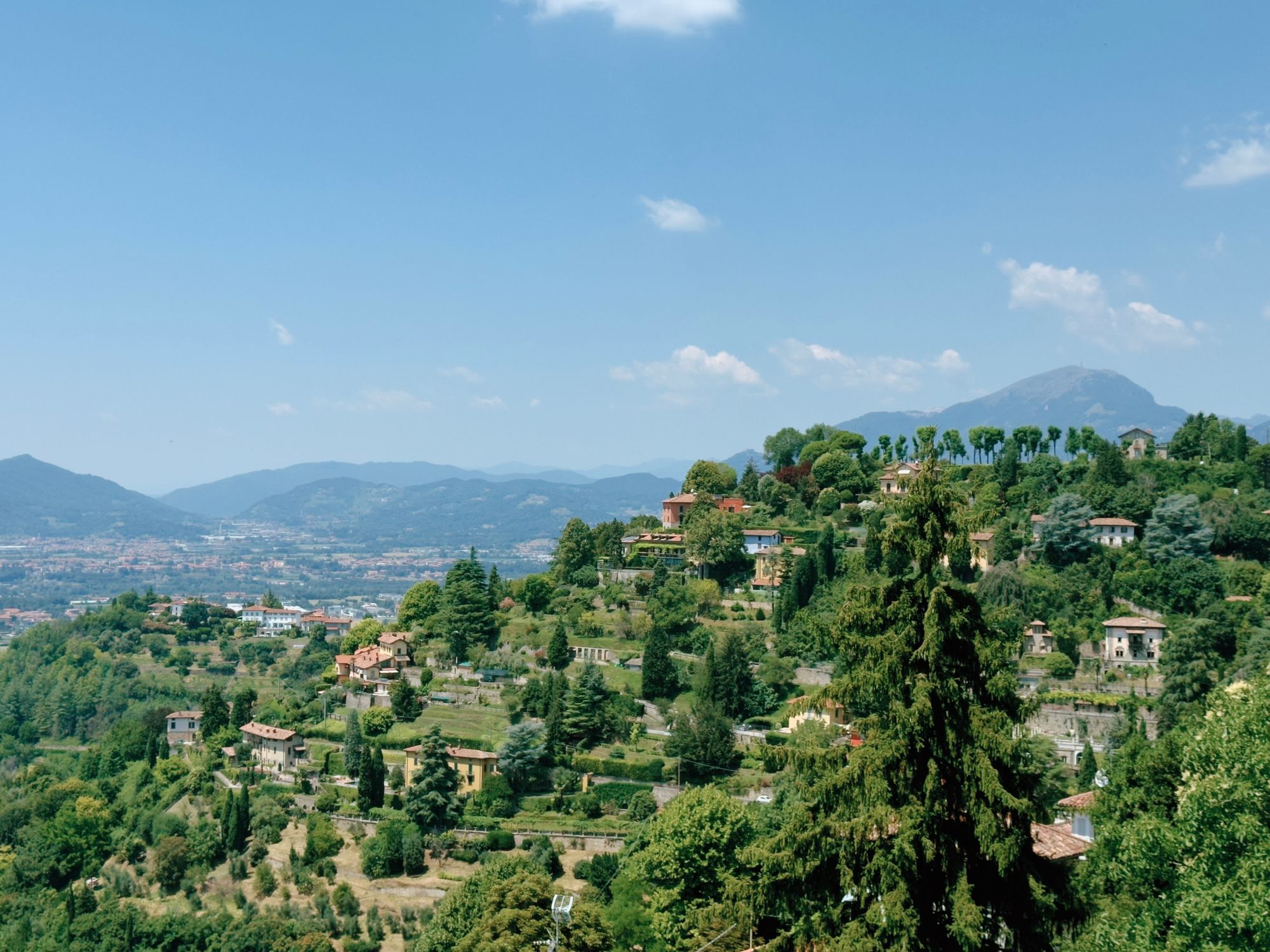 Hillside villas and gardens scattered among dense trees on the slopes of Bergamo's Città Alta, with mountains visible in the distance.