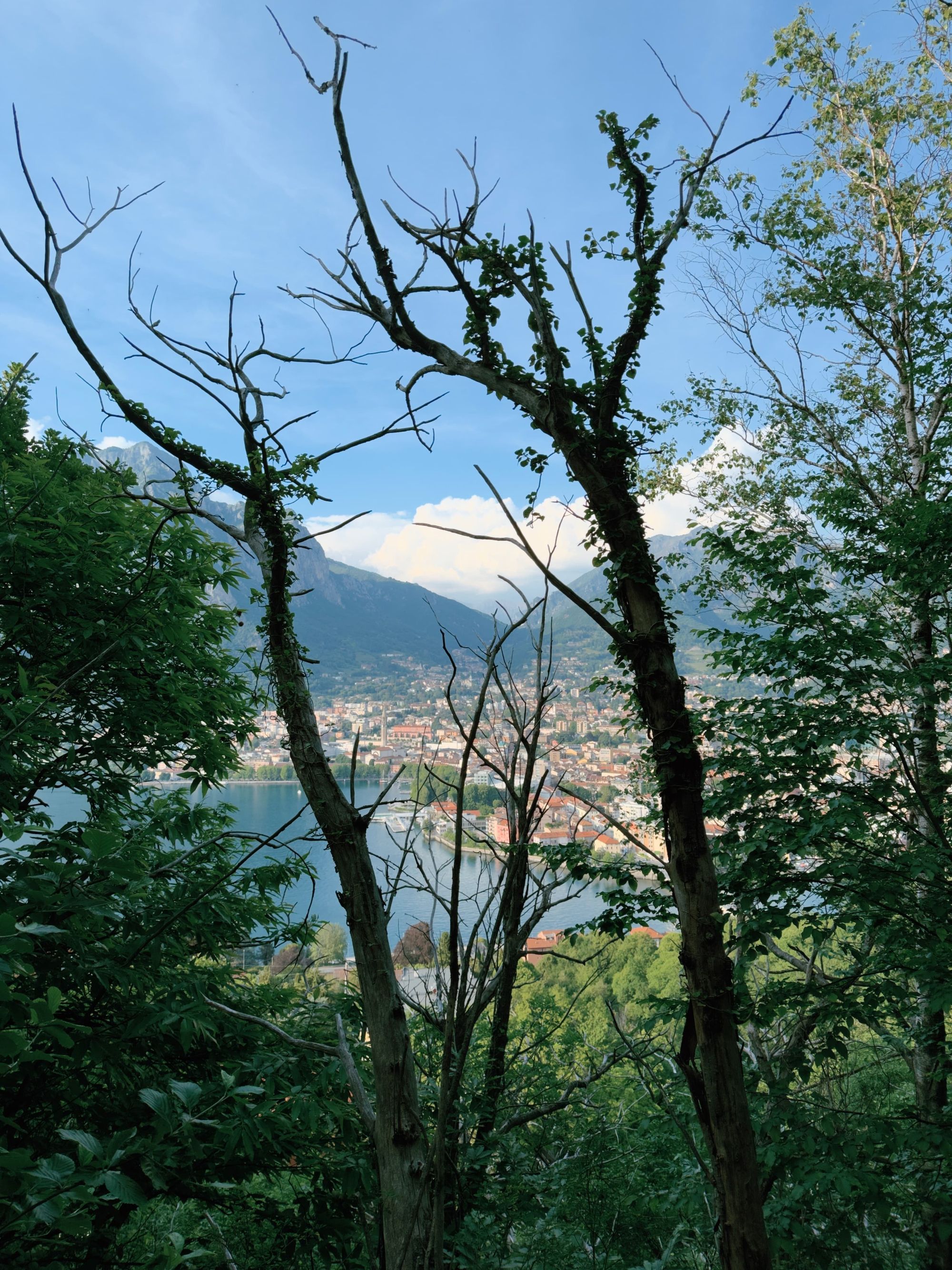 The city of Lecco and Lake Como seen through a gap in the forest trees, with mountains visible in the background.