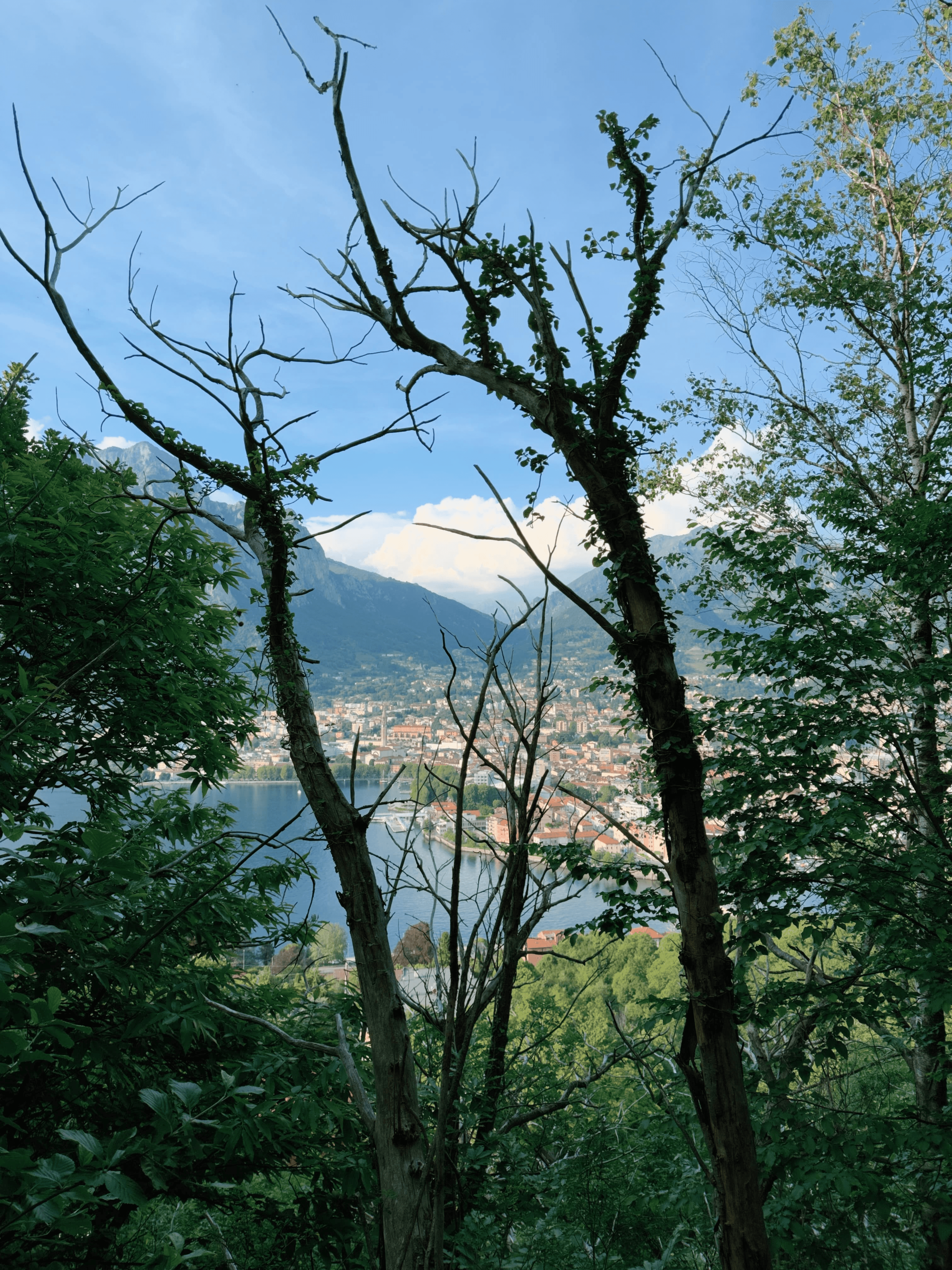 The city of Lecco and Lake Como seen through a gap in the forest trees, with mountains visible in the background.